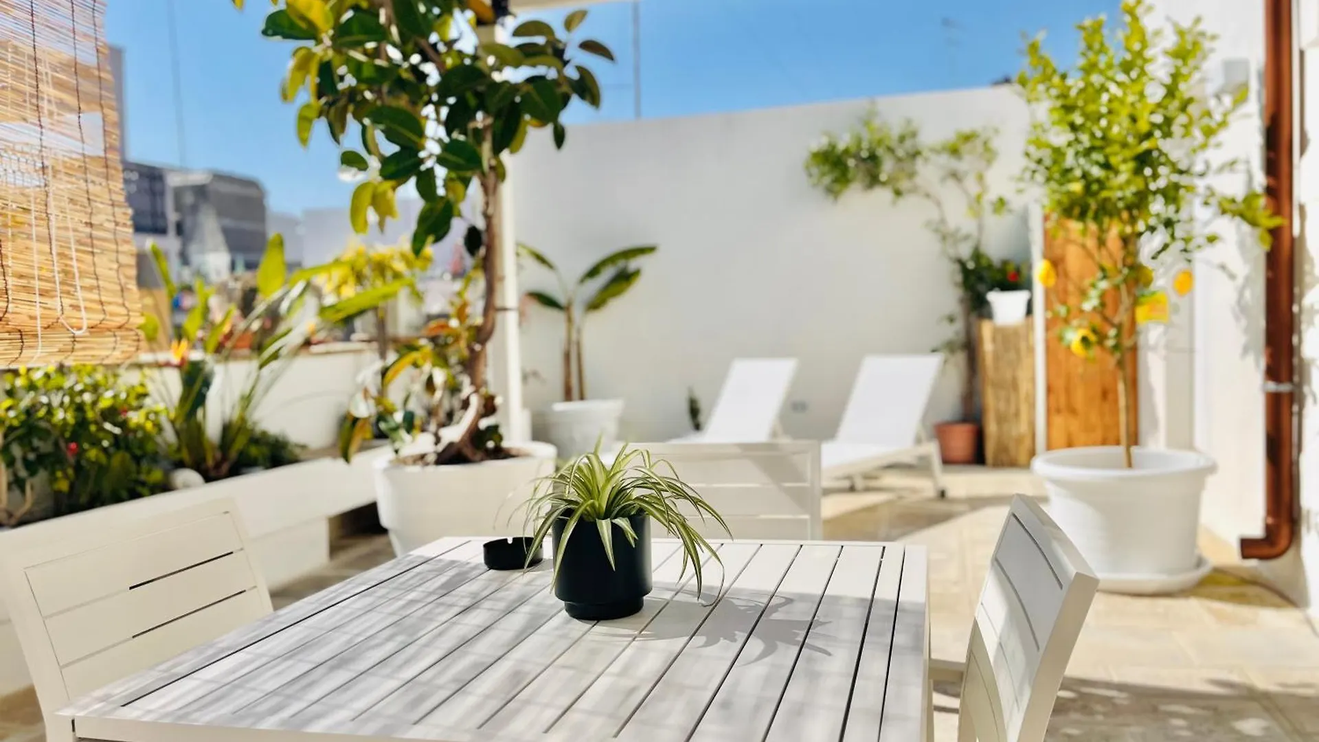 Zoe Apartment - Locazione Turistica Brindisi